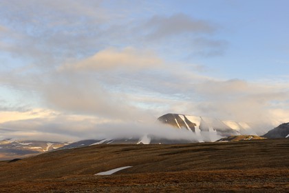 Norvège, Svalbard (Spitzberg), toundra dans la région de Longyearbyen