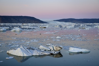 Groenland, cote ouest, baie de Disko, baie de Quervain, le glacier Eqip Sermia (glacier Eqi) au crépuscule