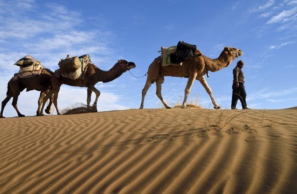 Iran, Isfahan province, Dasht-e Kavir desert, Mesr in Khur and Biabanak County, man leading camel train at sunrise in the dunes of the place called Kuh-e Sefid