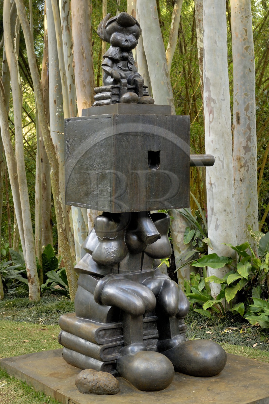 Brasil, Minas Gerais state, Brumadinho, Centro de arte contemporanea Inhotim (contemporary artwork center), Boxhead (2001) by Paul Mccarthy