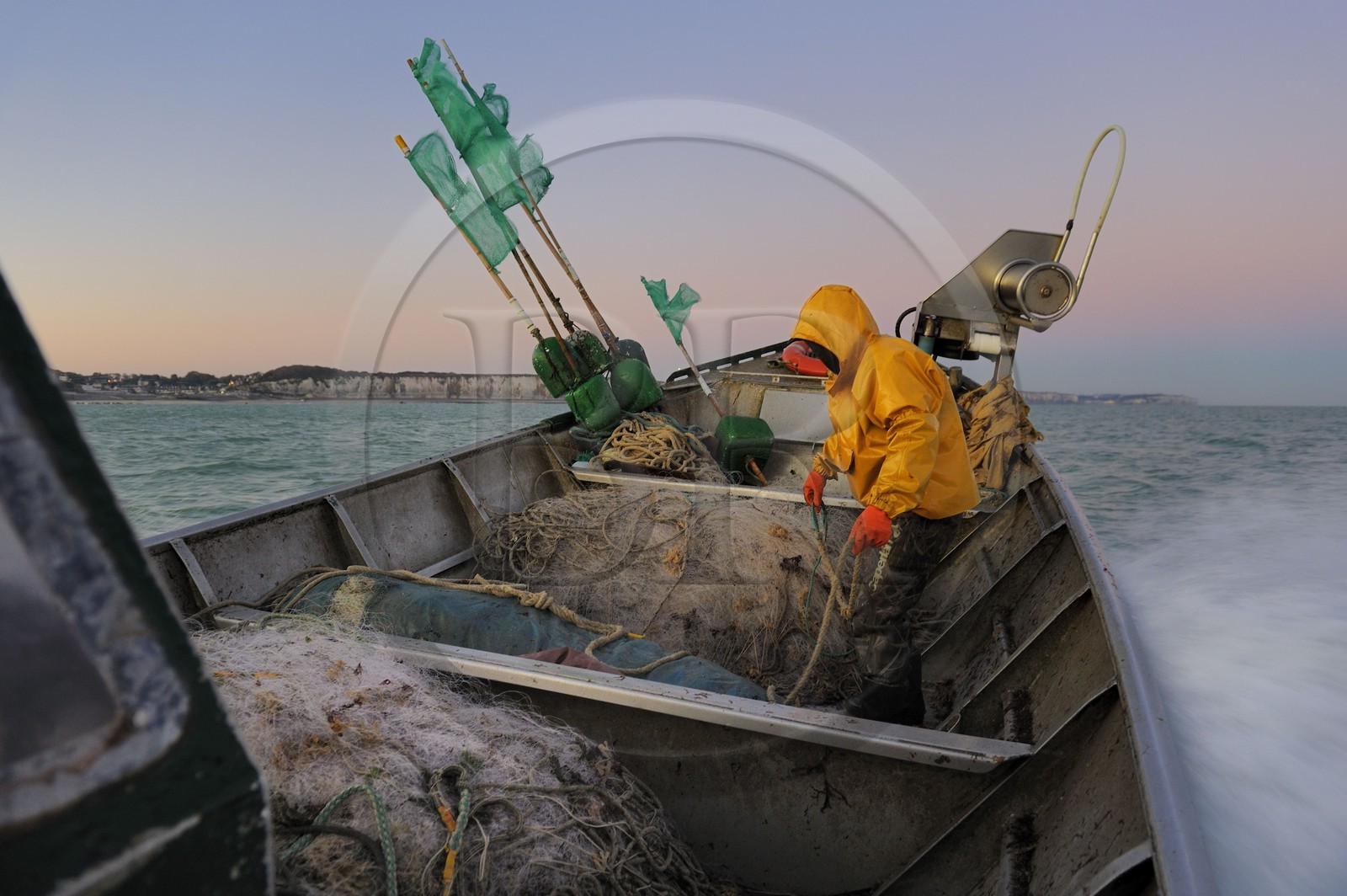 France, Seine-Maritime (76), au large de Veules-les-Roses à l'aube, pêche au filet à bord du bateau La Pomme appartenant à Anthony Paumier le plus jeune patron de pêche de France