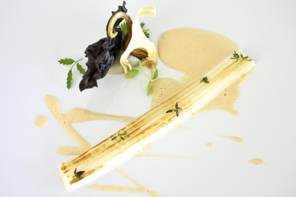 France, Alpes-Maritimes (06), Menton, Restaurant Le Mirazur du Chef doublement étoilé Michelin Mauro Colagreco, Calamar de Bordighera, chips de riz à l'encre de seiche