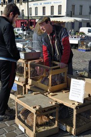France, Calvados, Pays d'Auge, Saint Pierre sur Dives, market day in front of the halls, the breeder Pierre-Alain sells his rabbits alive