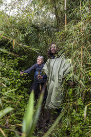 Rwanda, Province du Nord, Parc National des Volcans dans la chaine des Monts Virunga, mont Karisimbi,