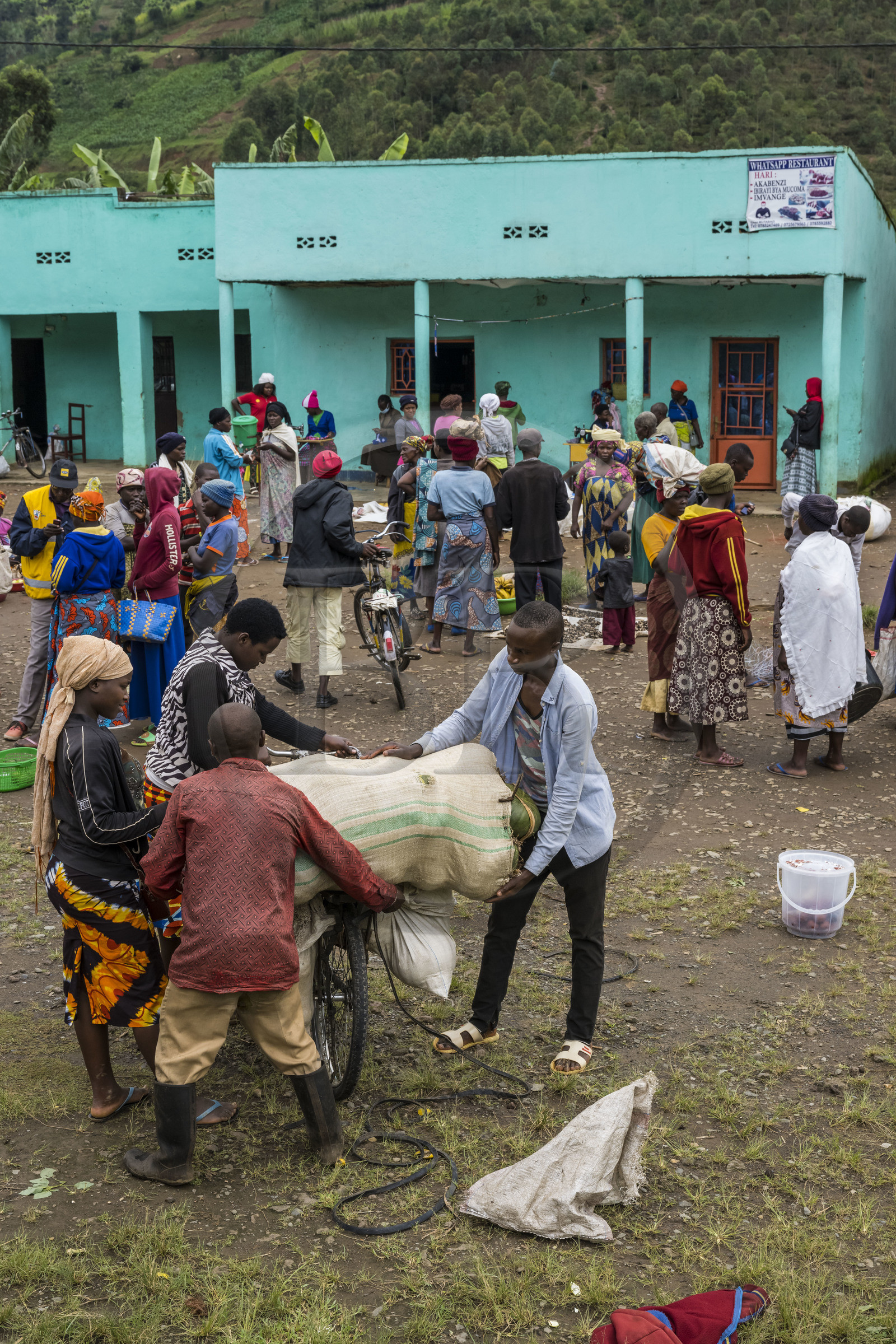 Rwanda, Province du Nord, District de Musanze (Ruhengeri), jour de marché à Muryabazira sur la Route Nationale 4 entre Kigali et Ruhengori, transport de gros sacs sur une bicyclette, les bicyclettes sont le principal moyen de transport local