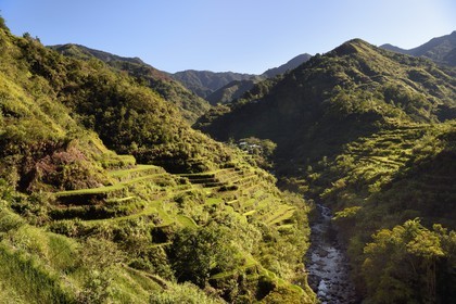 Philippines, Ifugao province, Banaue rice terraces around the village of Cambulo, listed as World Heritage by UNESCO