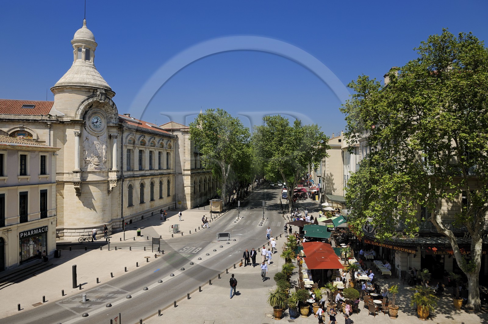 France, Gard, Nimes, boulevard Victor Hugo