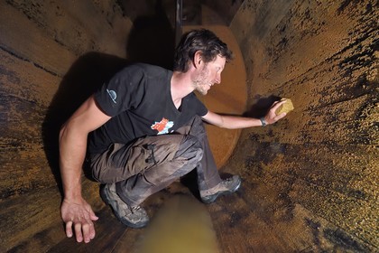 France, Haut-Rhin (68), Route des vins d'Alsace, Bergheim, Domaine viticole Marcel Deiss, le viticulteur Mathieu Deiss nettoyant l'intérieur d'un grand tonneau aussi appelé foudre