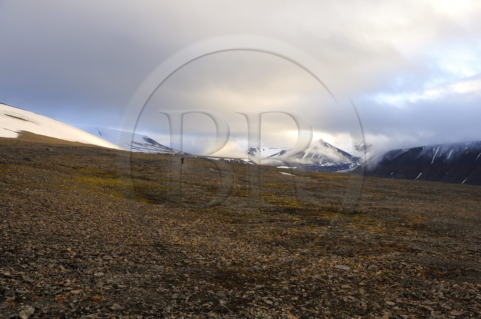 Norway, Svalbard (Spitzbergen), tundra in the region of Longyearbyen
