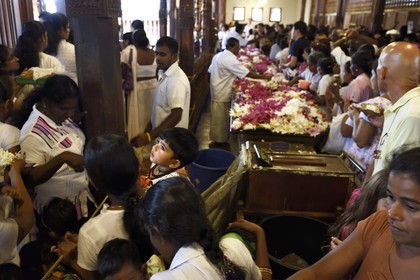 Sri Lanka, center province, Kandy, Temple of the Buddha Tooth (Sri Dalada Maligawa), the crowd of pilgrims make offerings