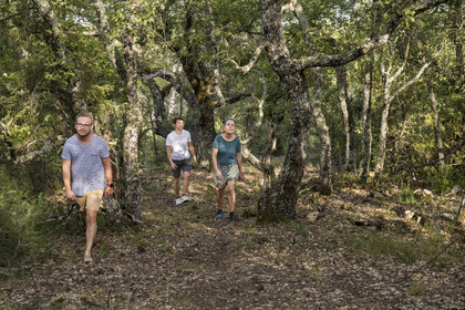 France, Var (83), Provence Verte, Bras, Académie du Bain de Forêt Provençale, forêt du domaine Le Peyrourier - une campagne en Provence