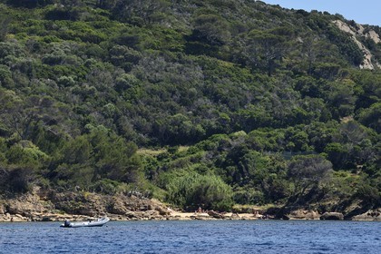 France, Var (83), Iles d'Hyères, Parc national de Port Cros, Ile du Levant, domaine naturiste d'Héliopolis, zone exclusivement naturiste sur la seule plage de sable en dessous de la zone militaire