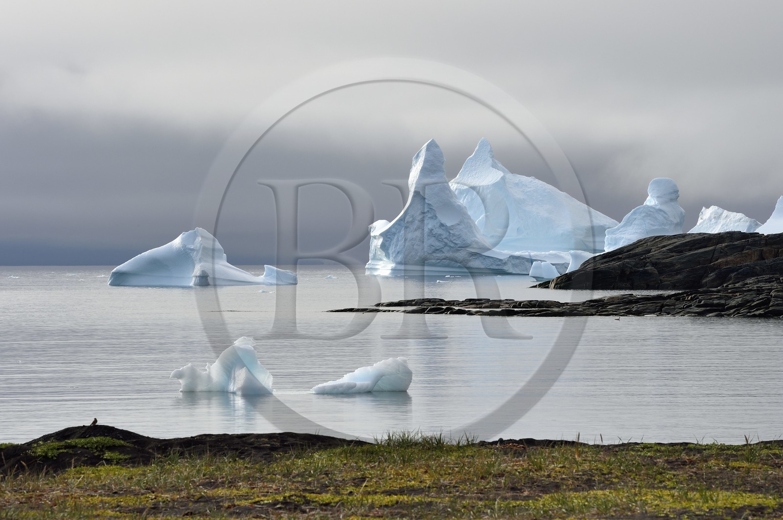 Groenland, cote ouest, Ile de Disko, baie du village de Qeqertarsuaq, icebergs dans la brume