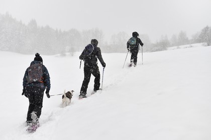 France, Haute Savoie, Araches la Frasse, Les Carroz d'Araches ski resort, snowshoeing