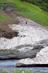 Georgia, Kakheti, Tusheti National Park, Alazani River Valley in the mountains of Pirikiti, shepherd and his flock of sheep