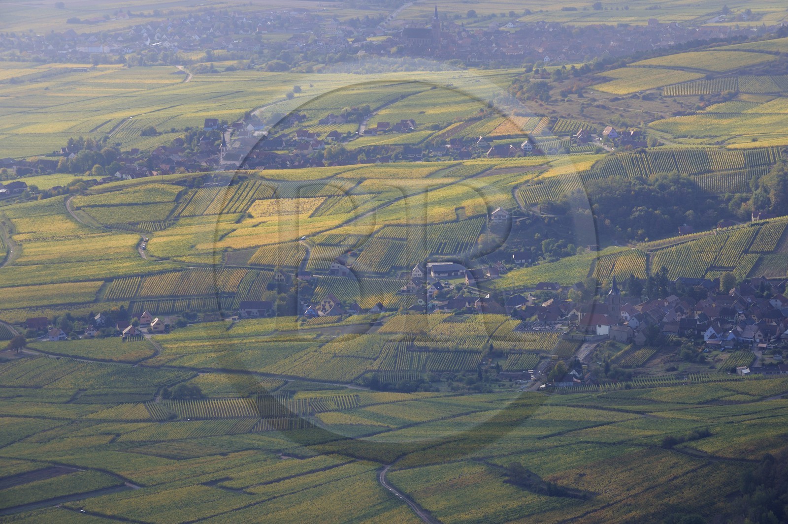 France, Haut-Rhin (68), villages vers Bergheim entourés par le vignoble depuis le château du Haut-Koenigsbourg