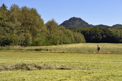France, Puy-de-Dôme (63), Saint-Ours-les-Roches, hameau de Beauregard, Parc naturel régional des Volcans d'Auvergne, randonneur sur le sentier, en arrière plan le volcan le Puy Chopine