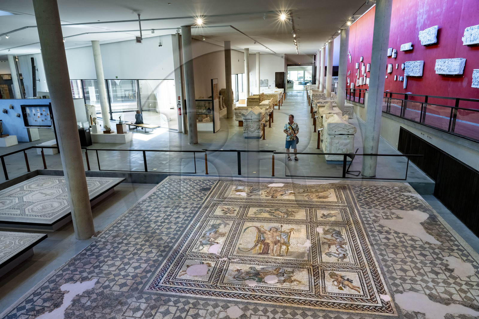 France, Bouches-du-Rhône (13), Arles, musée départemental Arles antique, détail de la mosaïque du Dieu du temps Aion (au centre) qui est le pavement de la salle à manger d'apparat d'une riche maison de ville romaine du site de l'ancienne verrerie de Trinquetaille sur la rive droite du Rhone France, Bouches-du-Rhône (13), Arles, musée départemental Arles antique, détail de la mosaïque du Dieu du temps Aion (au centre) qui est le pavement de la salle à manger d'apparat d'une riche maison de ville romaine du site de l'ancienne verrerie de Trinquetaille sur la rive droite du Rhone