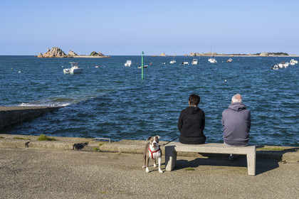 France, Côtes-d'Armor (22), Côte d'Ajoncs, Penvénan, le petit port de Buguélès