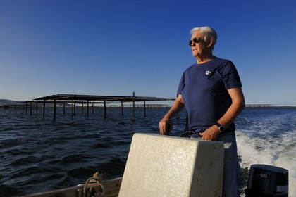 France, Hérault (34), Bouzigues, étang de Thau, parc à huîtres face au Mont Saint-Clair, l'ostréiculteur Jean Pierre Molina