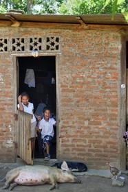Nicaragua, Ometepe Island in Lake Nicaragua, village of Merida, kids in front of their home and pig