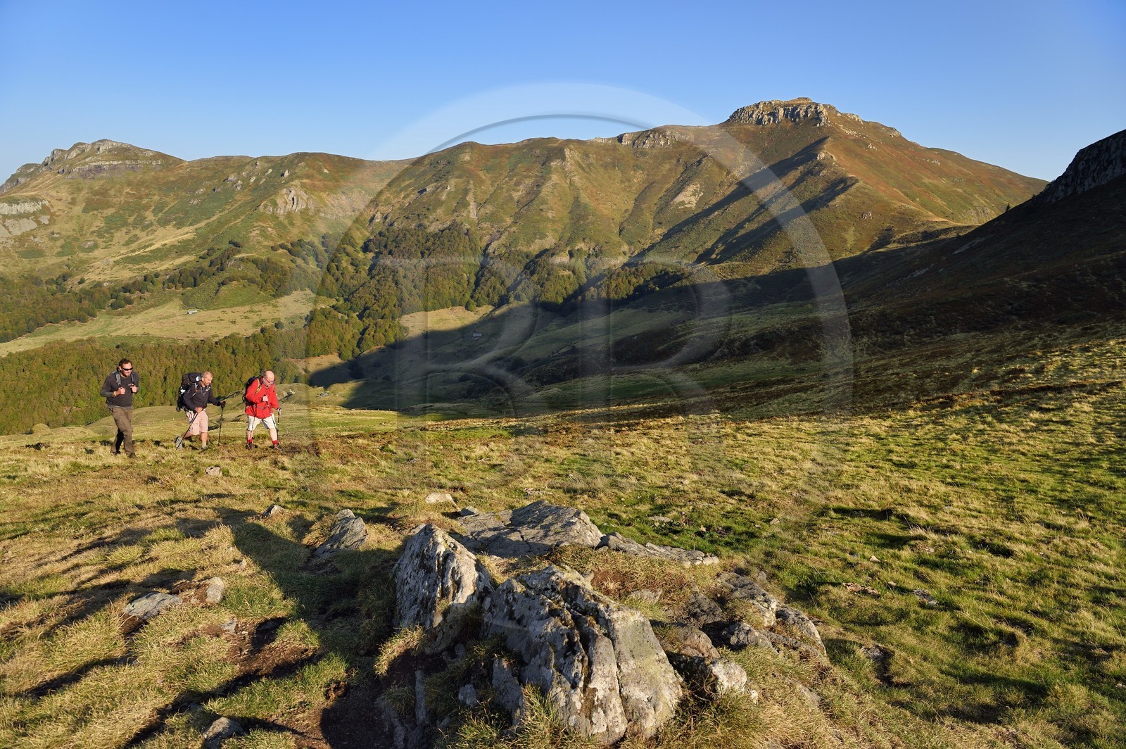 France, Cantal (15), Parc Naturel Régional des Volcans d'Auvergne, Le Lioran, col de Rombière, randonneurs sur le chemin de Saint-Jacques de Compostelle par la Via Arverna, le puy et les Fours de Peyre Arse en arrière plan
