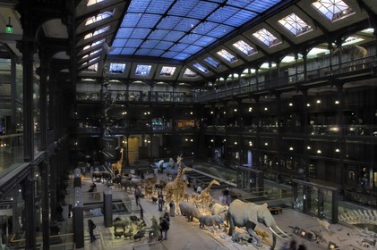 France, Paris (75), Museum d'Histoire Naturelle, Grand Galerie de l'Evolution