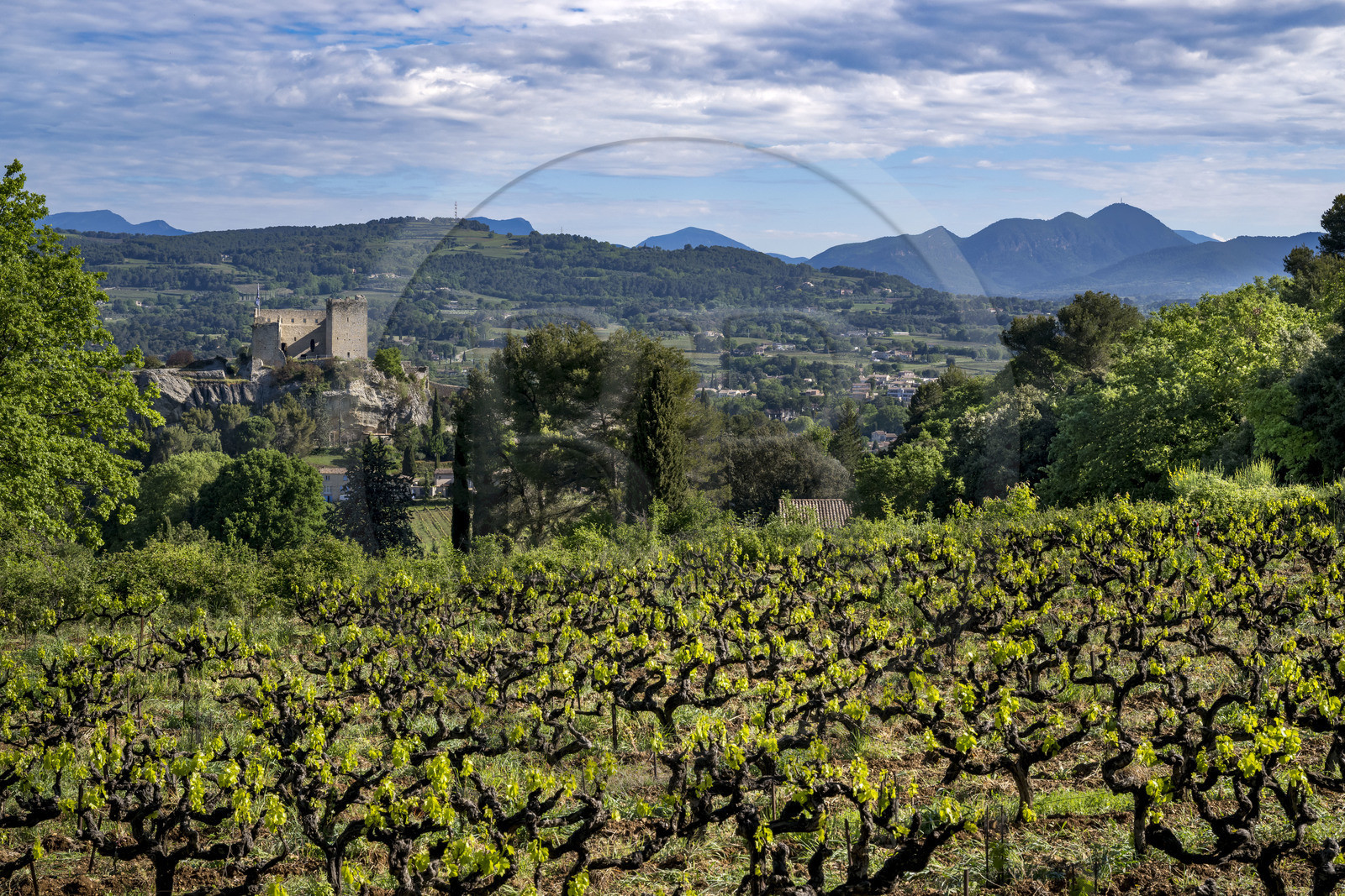 France, Vaucluse (84), Dentelles de Montmirail, Vaison-la-Romaine, vignes sur les hauteurs et le chateau des Comtes de Toulouse construit au XIIe siècle au sommet de la cité médiévale France, Vaucluse (84), Dentelles de Montmirail, Vaison-la-Romaine, vignes sur les hauteurs et le chateau des Comtes de Toulouse construit au XIIe siècle au sommet de la cité médiévale