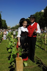 operation Nature Capitale 2010 on the Champs-Elysées