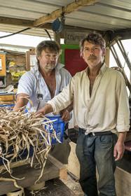 France, Morbihan (56), Ile de Groix, Kerdurand, les Jardins de Kerdu, grand jardin maraîcher bio de Erwan (à gauche) et Gael (à droite) Leclercq