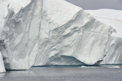 Groenland, cote ouest, baie de Disko, Ilulissat, fjord glacé classé Patrimoine Mondial de l'UNESCO qui est l’embouchure maritime du glacier Sermeq Kujalleq