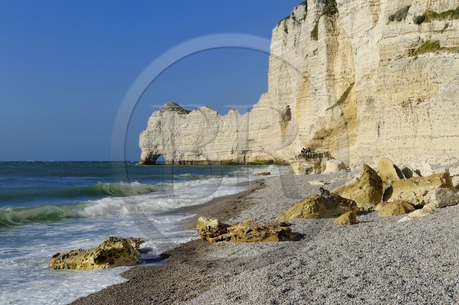 France, Seine-Maritime (76), Pays de Caux, Côte d'Albâtre, Etretat, la falaise d'Amont