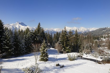 Switzerland, Canton of Vaud, Villars sur Ollon