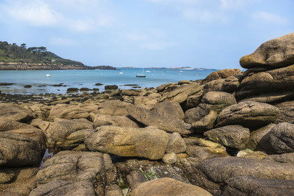 France, Côtes-d'Armor (22), Côte de Granit Rose, Trébeurden, Ile Millau, l'ile est uniquement accessible à pied et à marée basse depuis la pointe du Castel