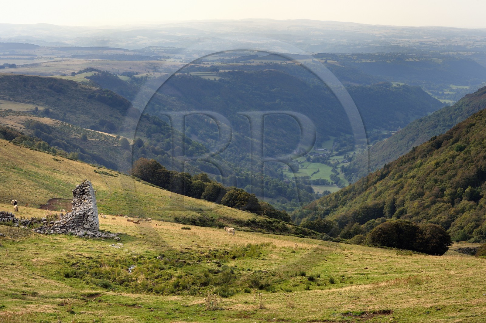 France, Cantal (15), Parc Naturel Régional des Volcans d’Auvergne, la vallée de Brezons vue depuis les estives en altitude