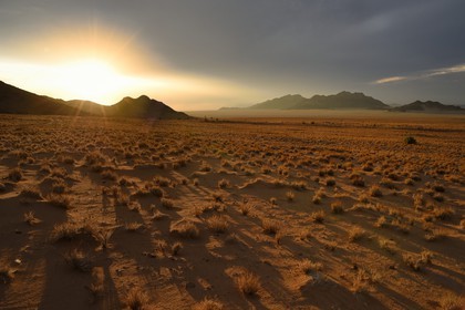 Namibia, Hardap region, Namib Desert East of the Namib Naukluft National Park towards Sossusvlei, grass covered desert plain at sunset