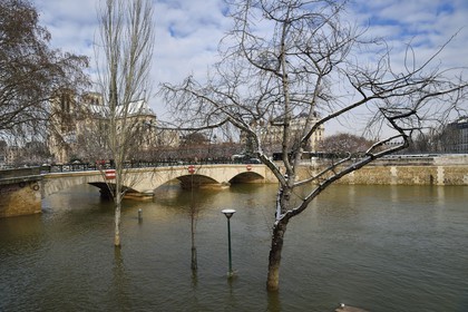 France, Paris, area listed as World Heritage by UNESCO, the banks of the Seine, classified World Heritage by UNESCO, the Seine in flood at the pont de l'Archevêché (Archbishop's Bridge) and the Notre-Dame Cathedral under the snow on the Ile de la Cité