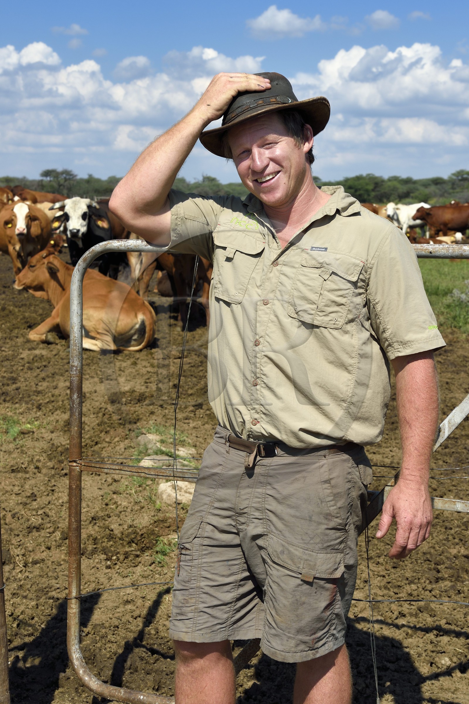 Namibie, region de Otjiwarongo, le fermier Paul Visser qui travaille aussi pour le Cheetah Conservation Fund