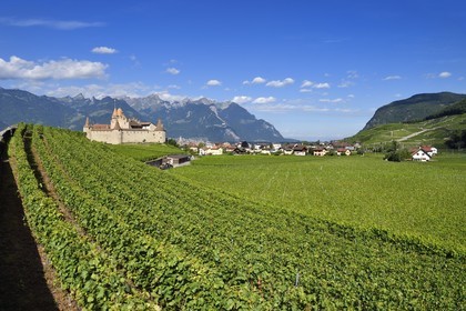 Suisse, Canton de Vaud, Aigle, le chateau entouré par le vignobles, il abrite le musée de la Vigne et du Vin