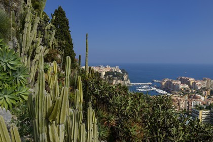 Principauté de Monaco, Monaco, le Jardin Exotique regroupant plusieurs milliers d'espèces de plantes succulentes, le Rocher et le port de Fontvieille en arrière plan