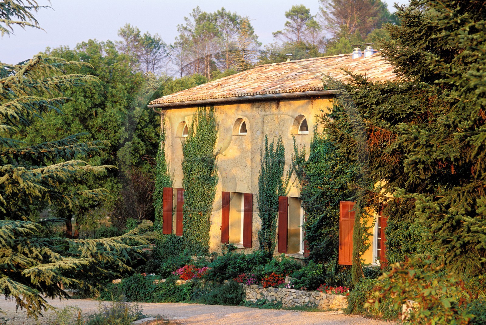 France, Var (83), Provence Verte, village de Bras vers Saint-Maximin-la-Sainte-Baume, la maison d'hôtes Le Peyrourier, une campagne en Provence