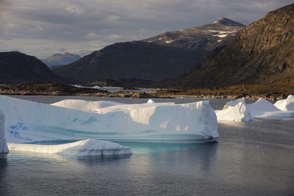 Groenland, fjord de Nanortalik au sud du pays, icebergs