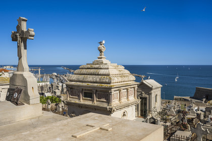 France, Herault, Sète, Saint-Charles cemetery known as the Marin cemetery and the port in the background