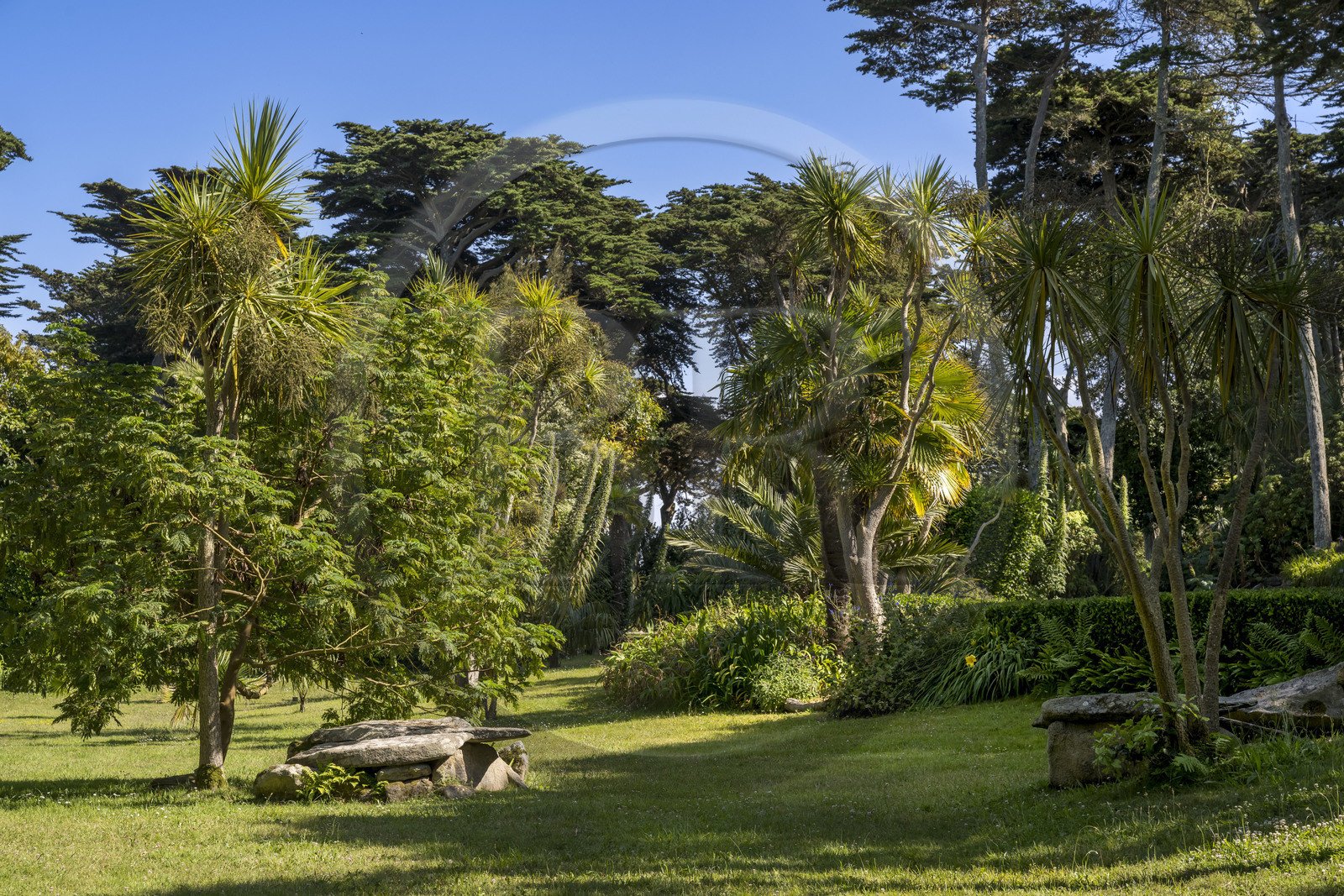 France, Finistère (29), Iles du Ponant, Ile de Batz, jardin Georges Delaselle ou jardin colonial, jardin exotique présentant une collection botanique provenant des cinq continents et vestiges d'une nécropole de l'âge de bronze