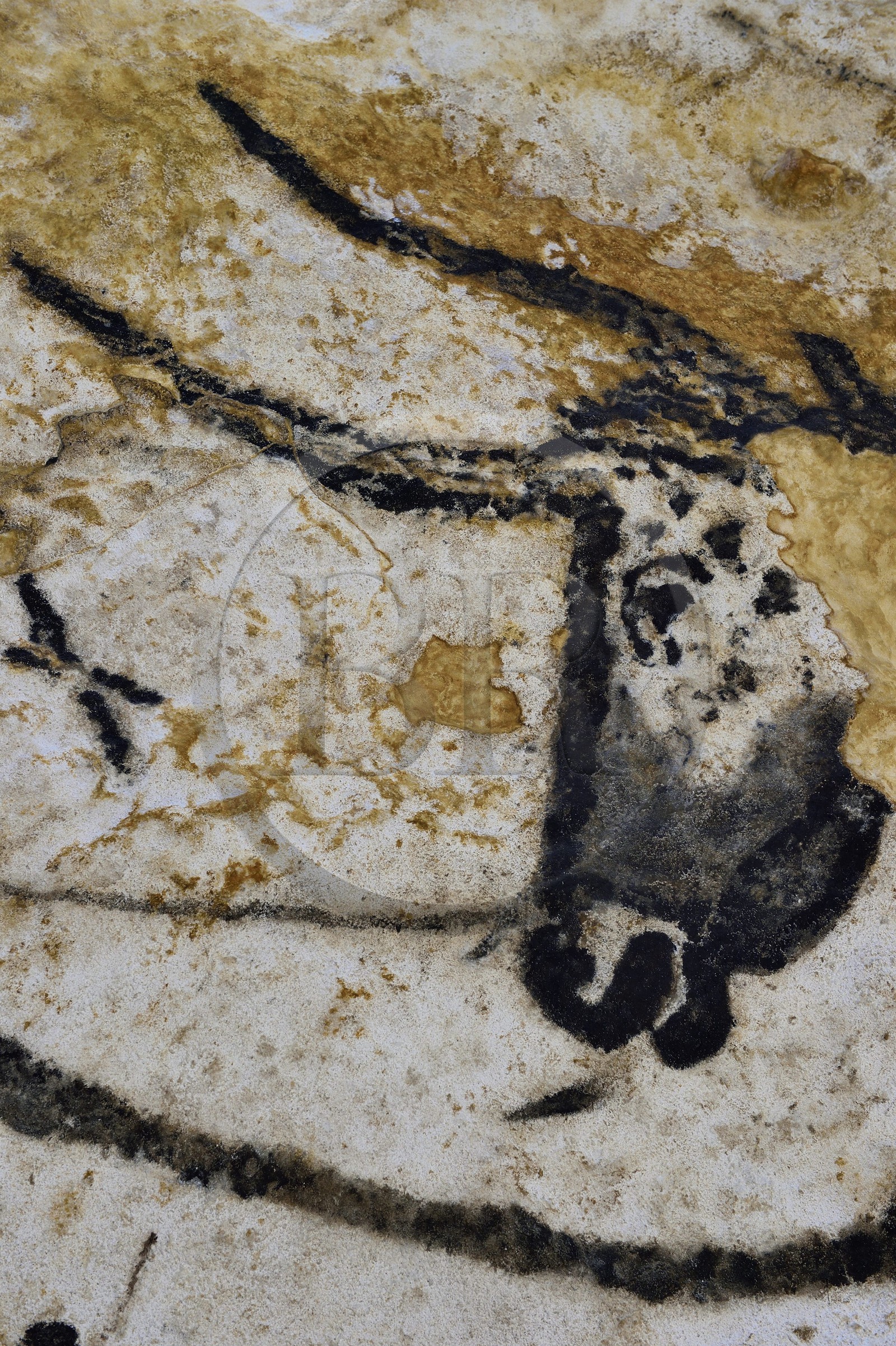 France, Dordogne (24), Montignac, l’Atelier des Fac-Similés du Périgord (AFSP) spécialisé dans la reproduction minérale de parois ornées de la préhistoire et en charge de la reconstitution fidèle des parois de la grotte de Lascaux, Aurochs, mention obligatoire Atelier des Fac-Similés du Périgord