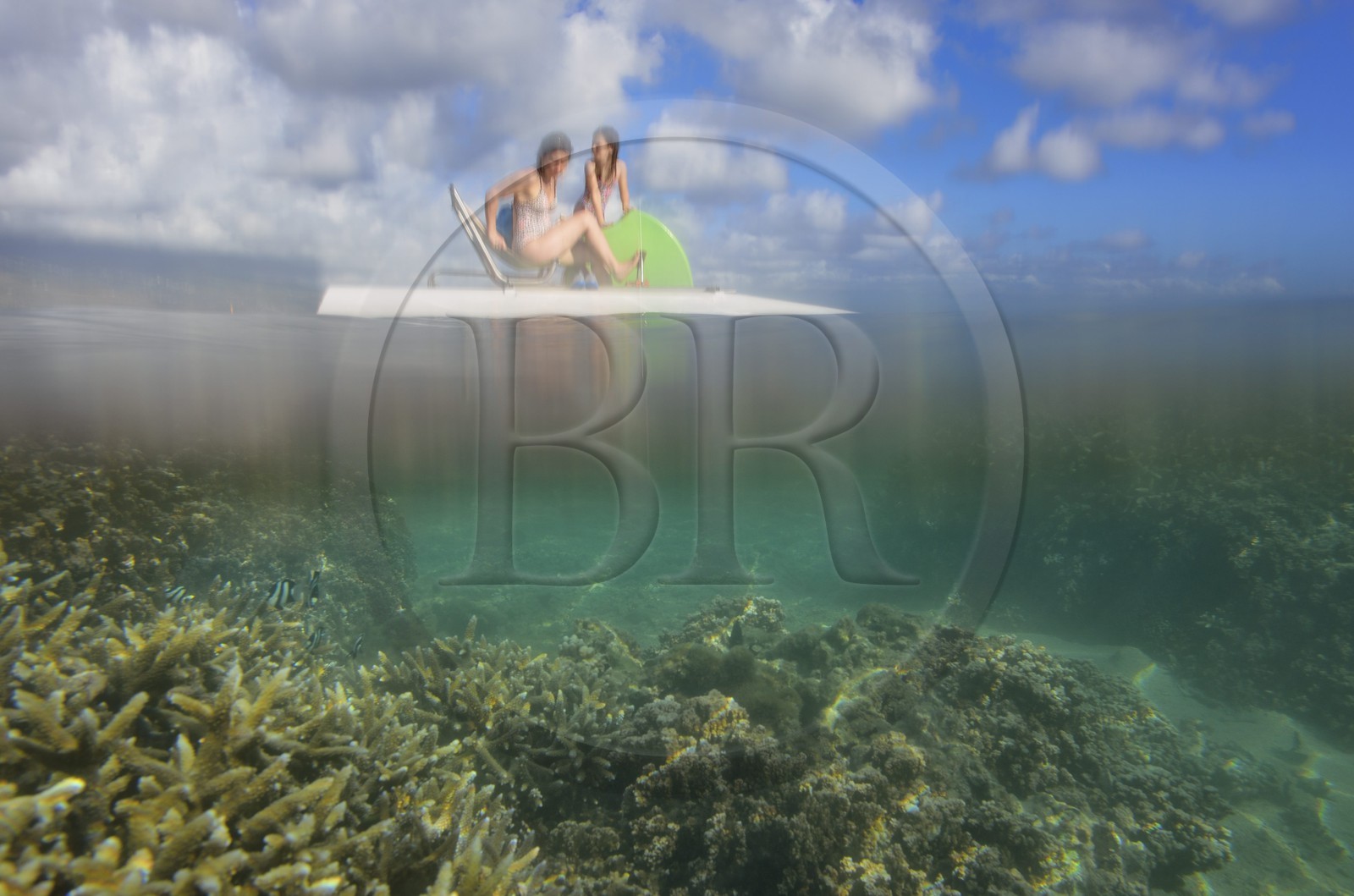 France, Ile de la Reunion, Côte Ouest, Saint-Gilles-Les-Bains (commune de Saint-Paul), le récif corallien du lagon de l'Ermitage et de La Saline-Les-Bains (vue sous-marine)