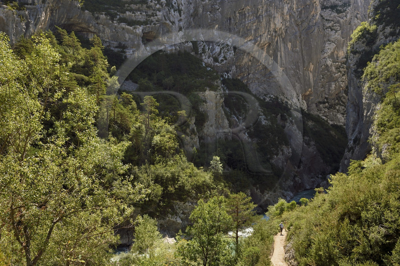 France, Alpes-de-Haute-Provence (04), Parc Naturel Régional du Verdon, les Gorges du Verdon, sentier d'accès au couloir Samson en contrebas du village de Rougon et du Point Sublime