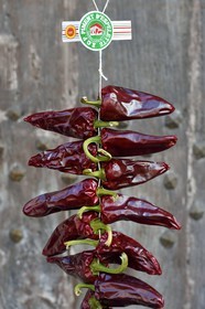 France, Pyrenees Atlantiques, Basque Country, Espelette, AOP Espelette peppers line