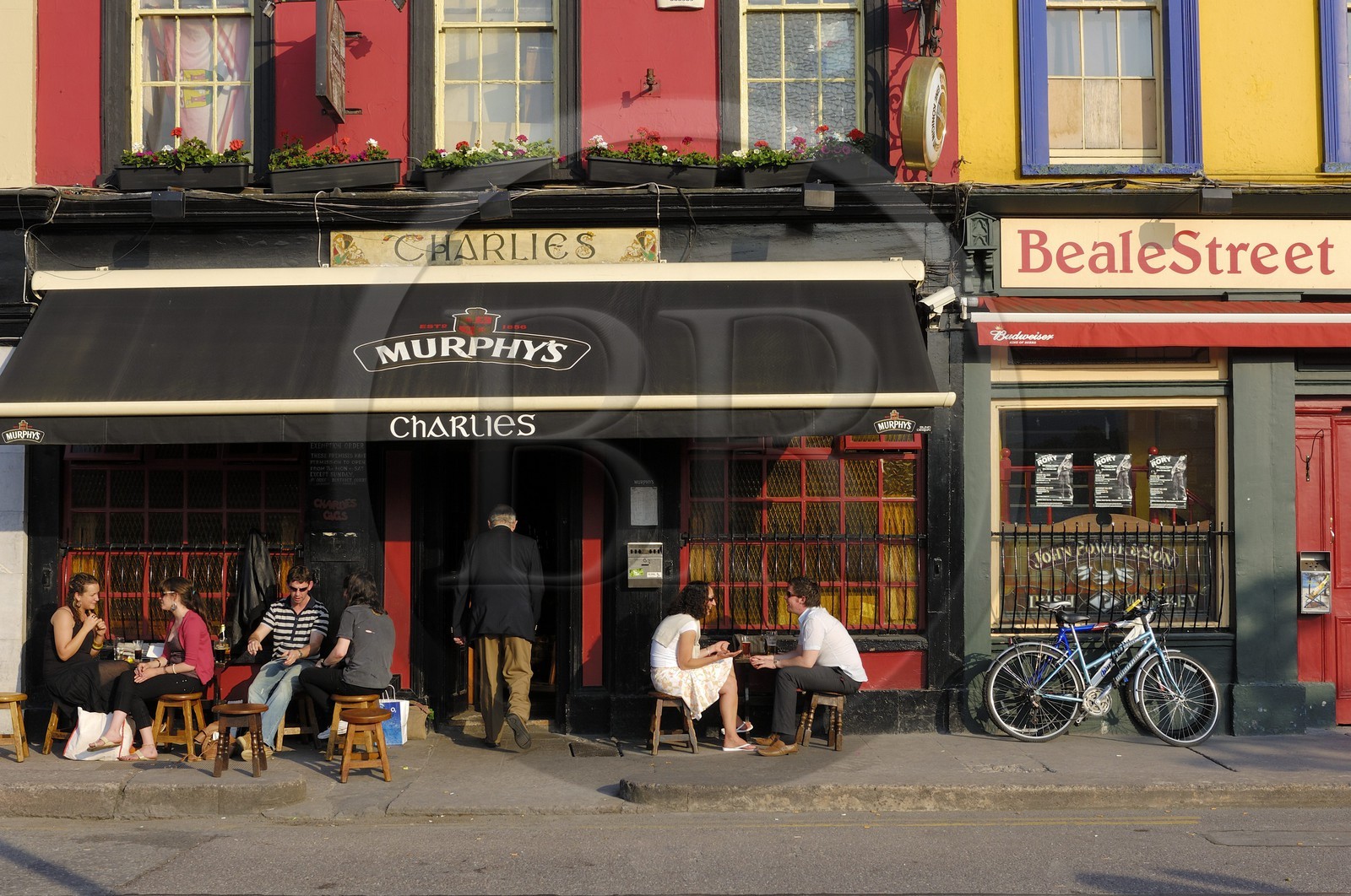 Irlande, Comté de Cork, Cork, pub Charlies
