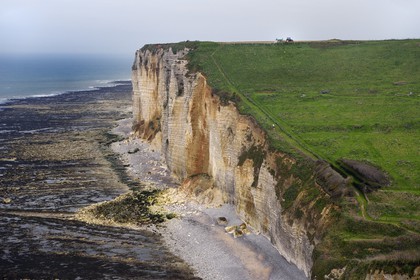 France, Seine-Maritime, Pays de Caux, Alabaster Coast (Cote d'Albatre), Benouville between Yport and Etretat, tractor in a field over the cliff, at low tide